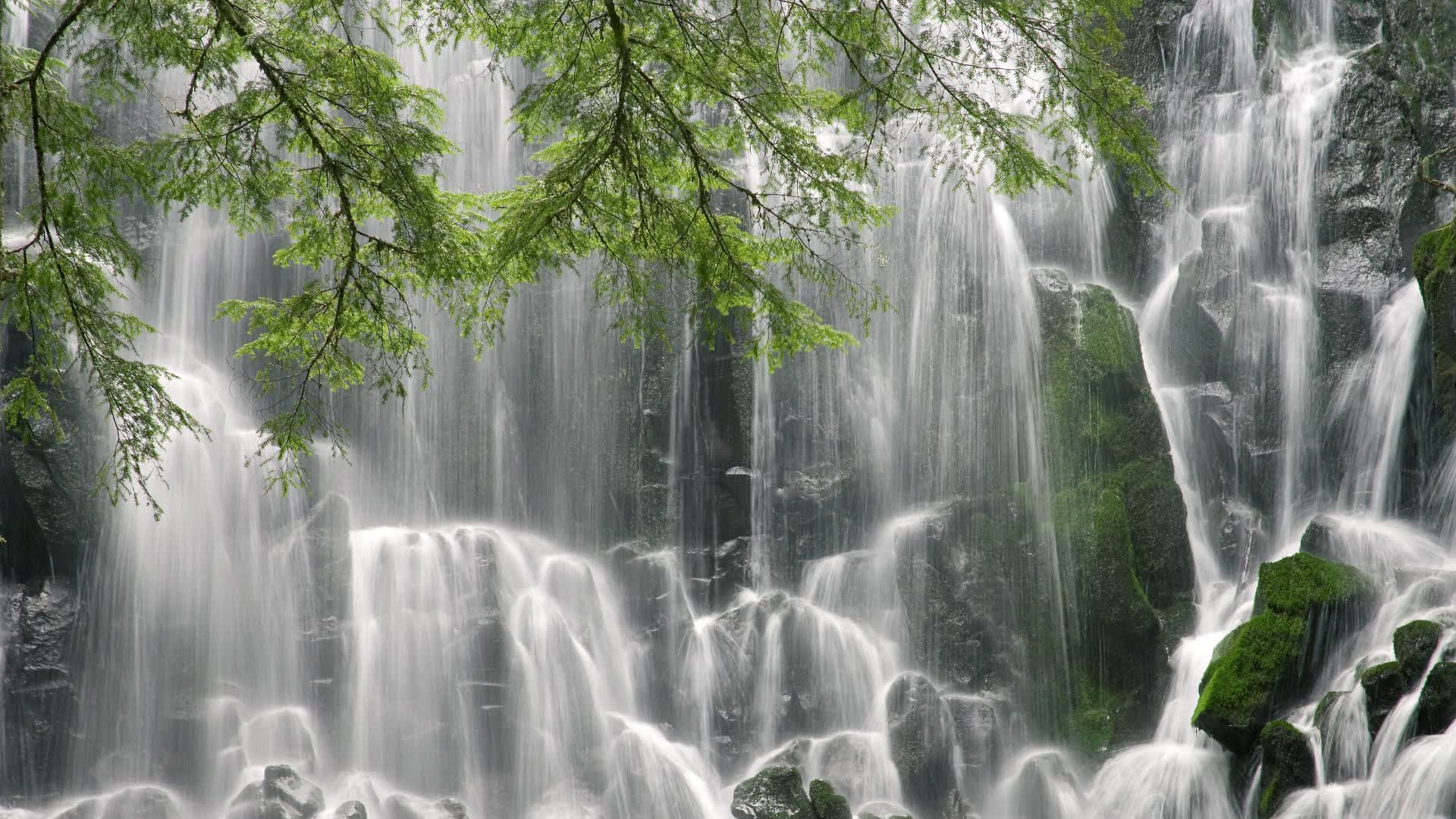 世界保龄球巡回赛城市站青少年日吸引家庭参与，世界保龄球比赛冠军
